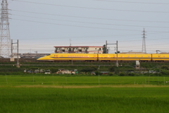 夕焼けイエロー２