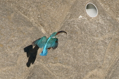 コンクリート好きですか？