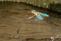 子供が待ってるぞ～～