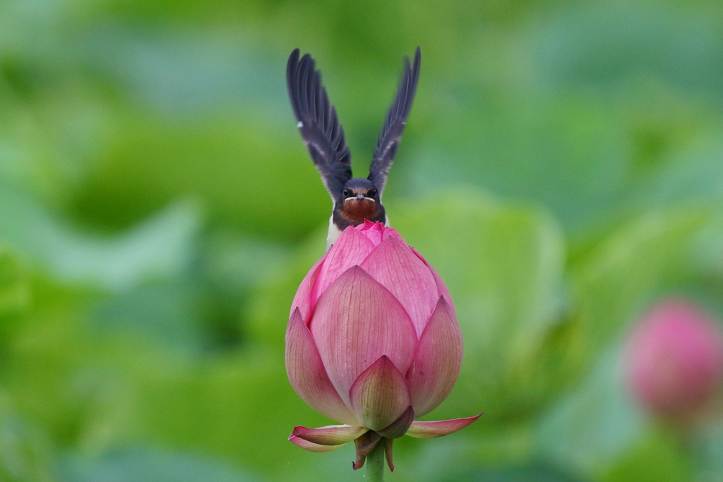 停まって～
