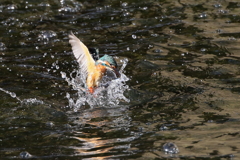 ママカワ１０