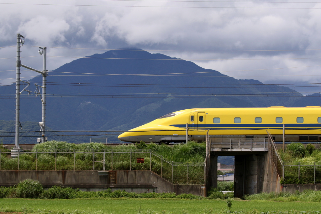 大山イエロー