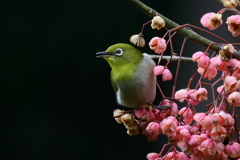 満足ですか? 満足ですか?