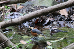 気持ち良いですよ