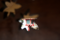 春紅葉