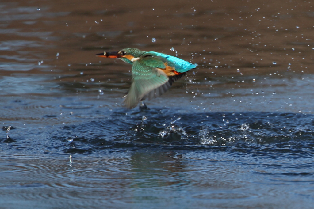 フレームのはしっこにやっと２