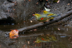 おいしい水