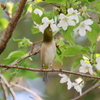 のびのび～～２