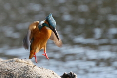 スーパーサイヤジン