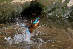 水浴び