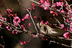 あっという間