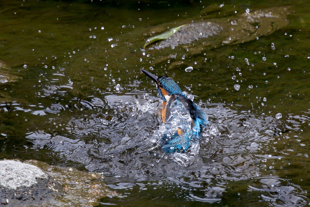 水浴びとおちゃん