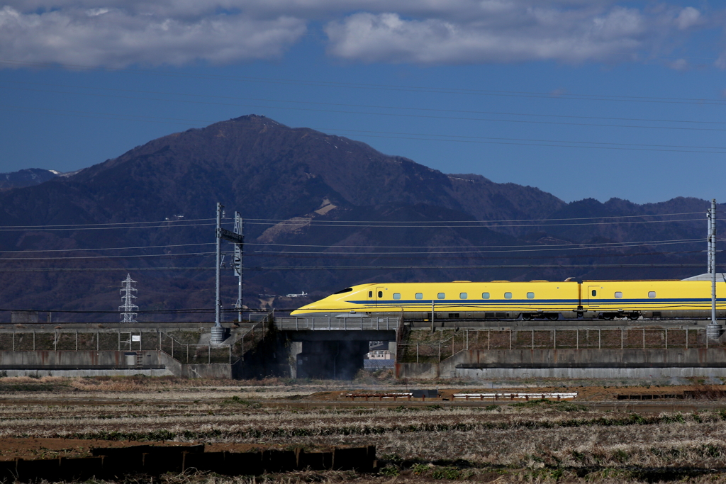 大山とイエロー