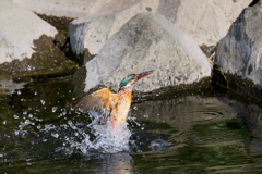 水浴びママ