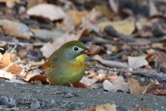答えは