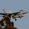 ＮＦ－２００ 色無し