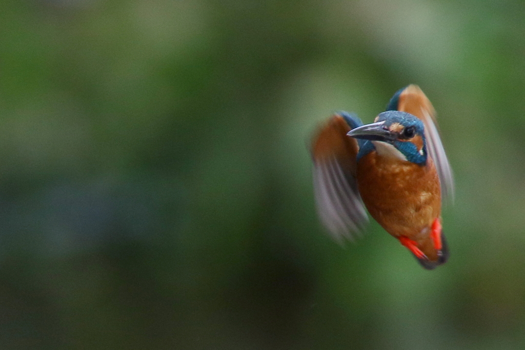 フレームのすみっこ