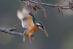 バランス くずした？