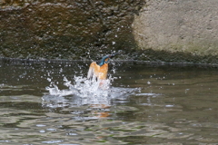 水浴び