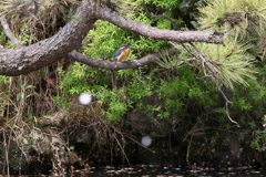 心霊写真ではありません