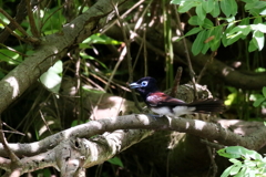 今日のサンちゃん１