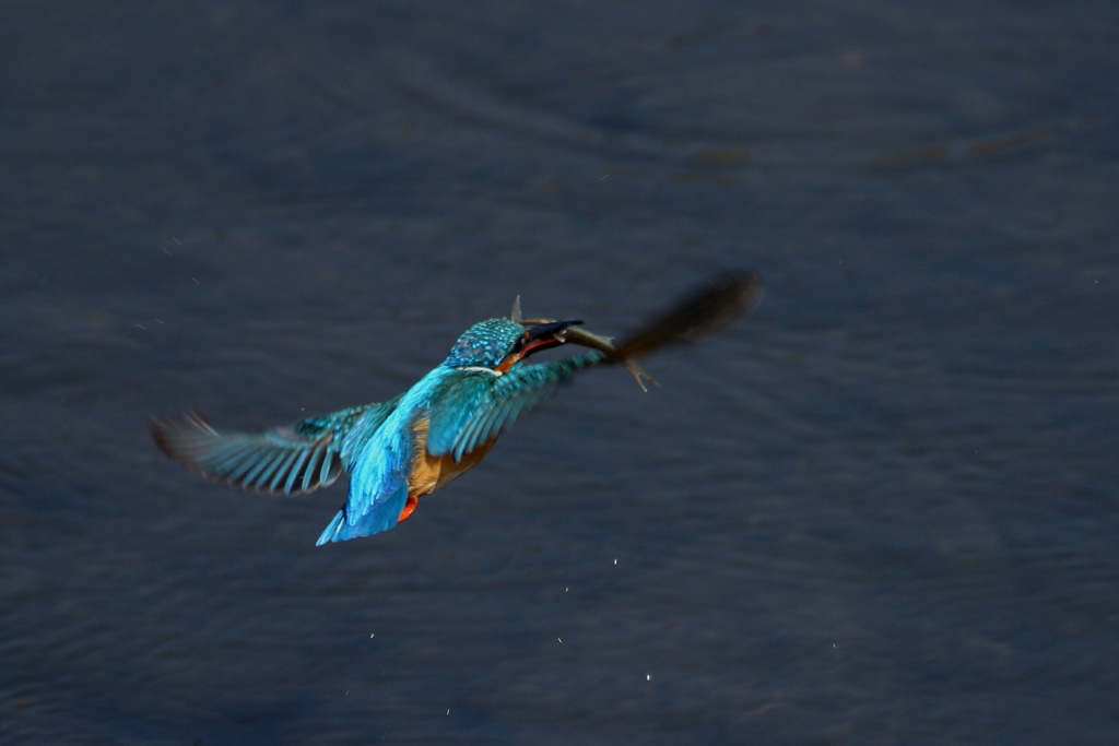 お顔が見えません