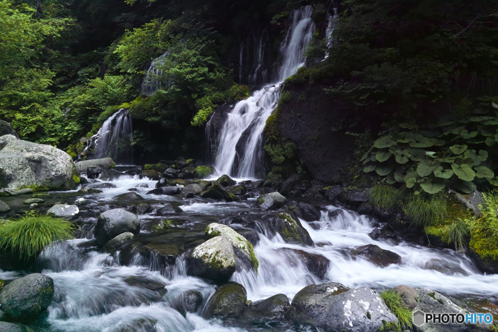 吐竜の滝　初夏