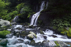 吐竜の滝　初夏