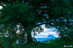 わに塚と富士山