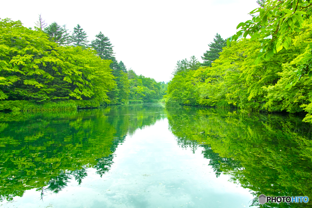 雲場池のこと