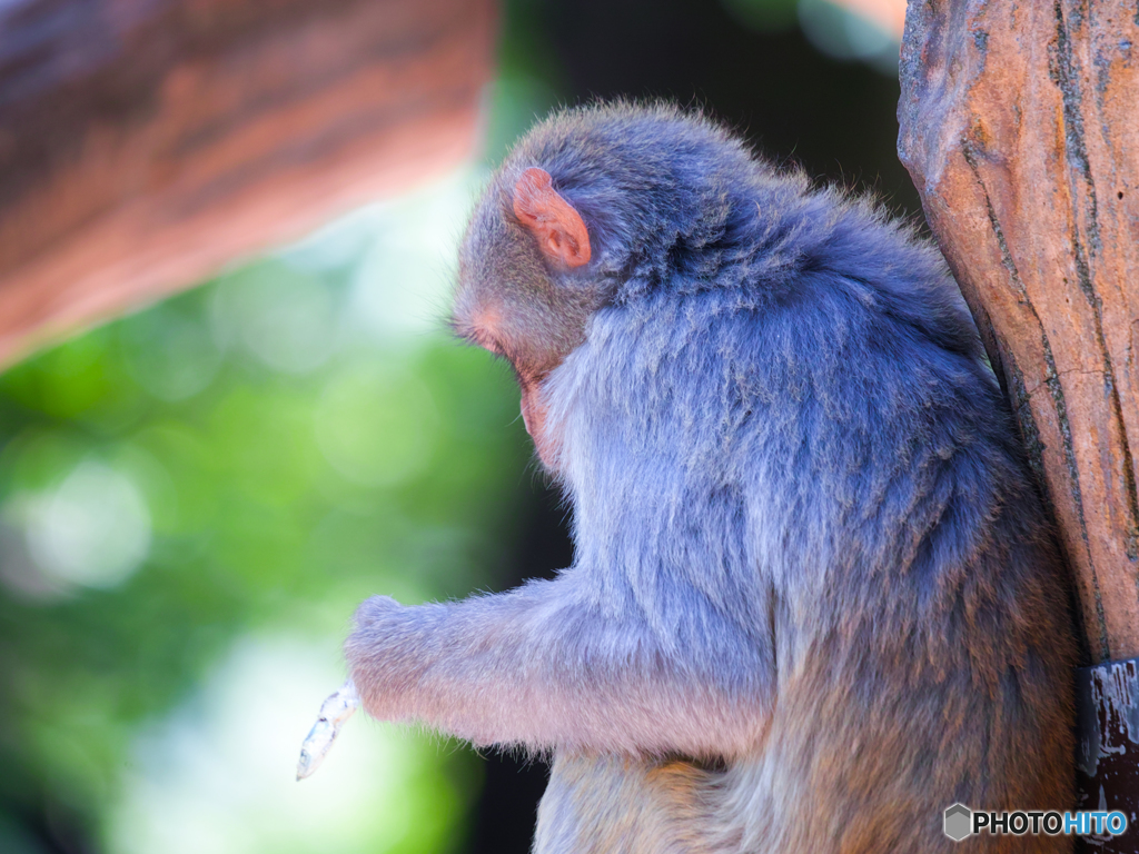 （株）シグマ井の頭公園にて４