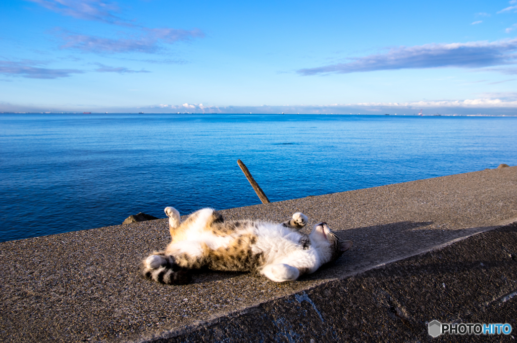 海を見ていたジョニー　つづき