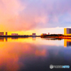 谷津干潟の夕景