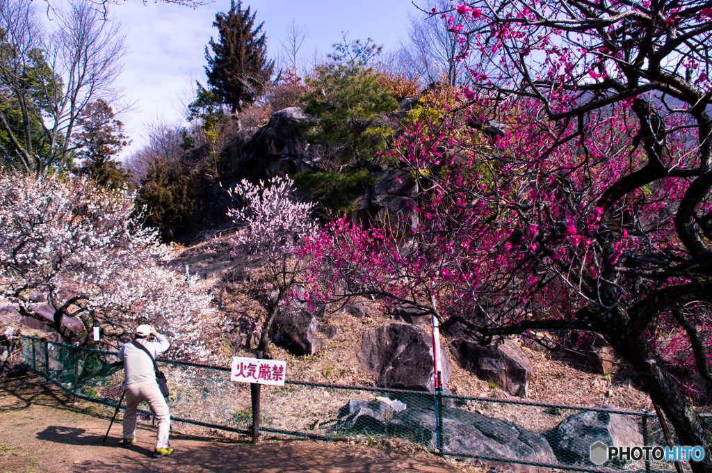 がんばってますか〜。