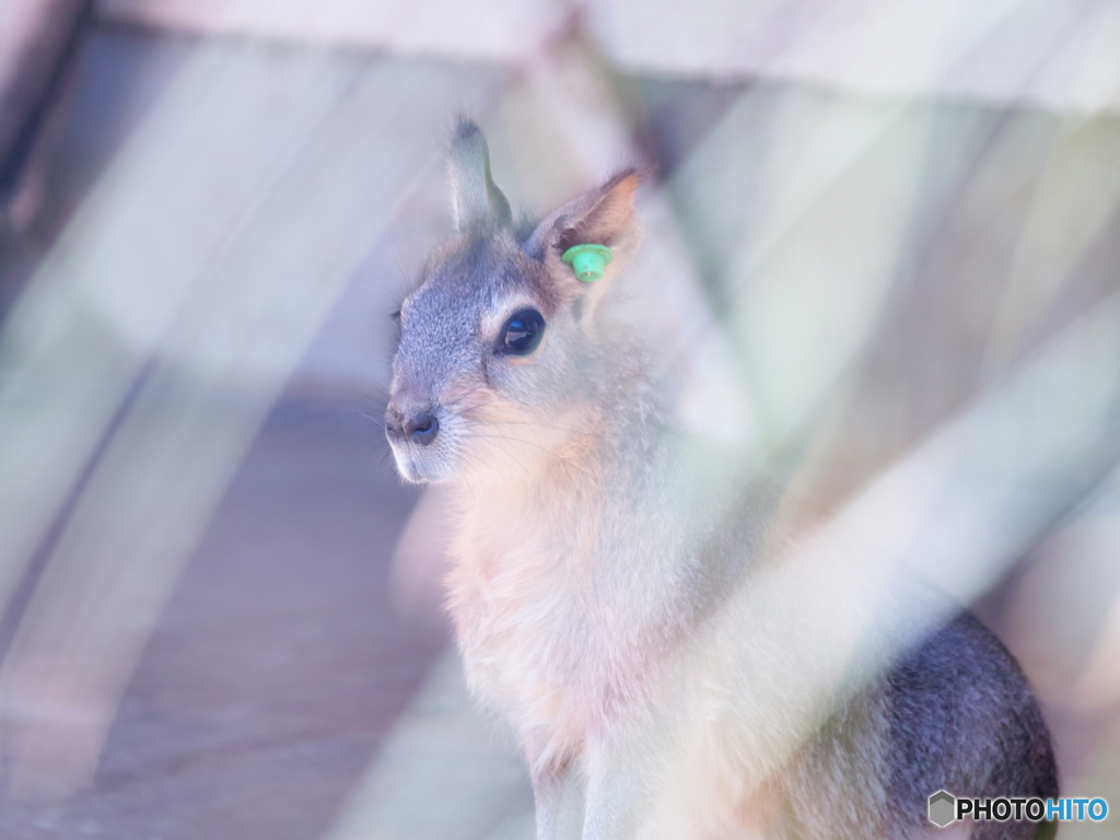 （株）シグマ井の頭公園にて２