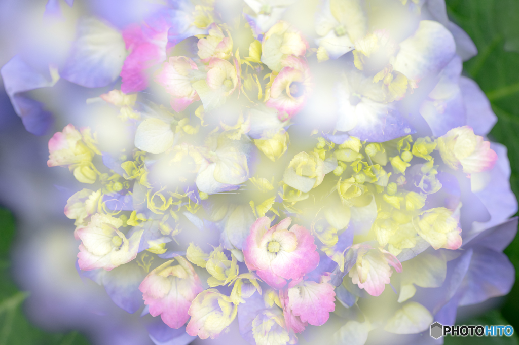 花束のように