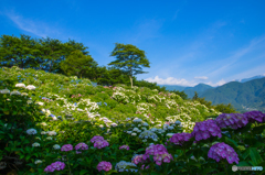 うつぶな公園