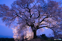 夕景のとき