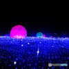 星たち