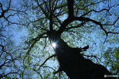 ウンがわるい話