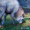 （株）シグマ井の頭公園にて10