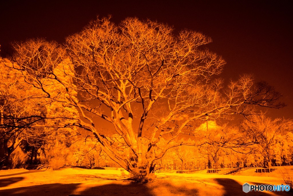 霊験の刻
