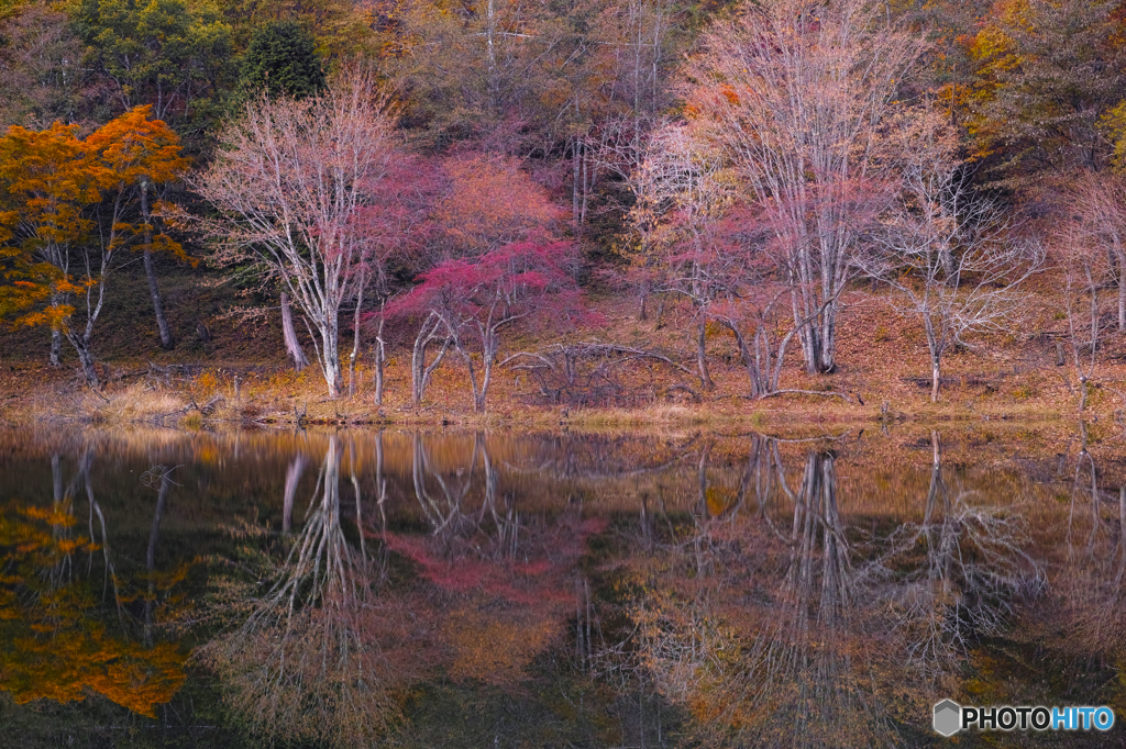 さわら池にて