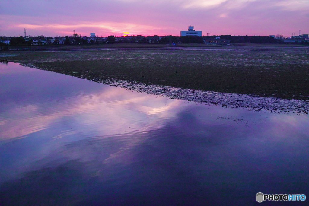 谷津干潟の夕景