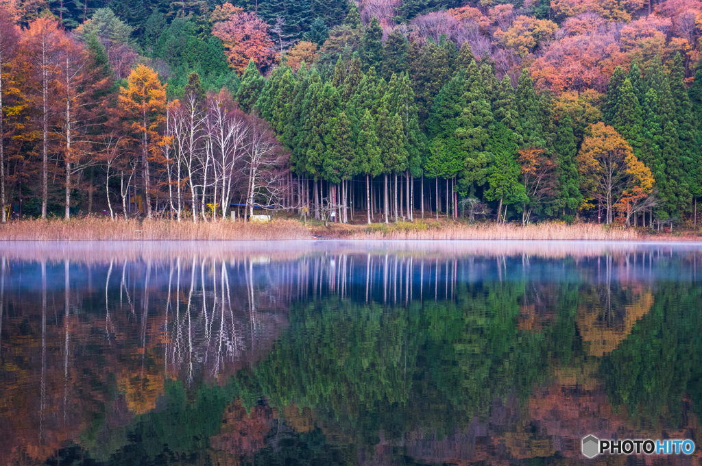 湖畔の朝