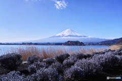 大石公園にて