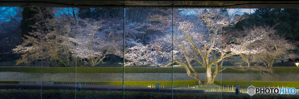 歴史博物館の夜景