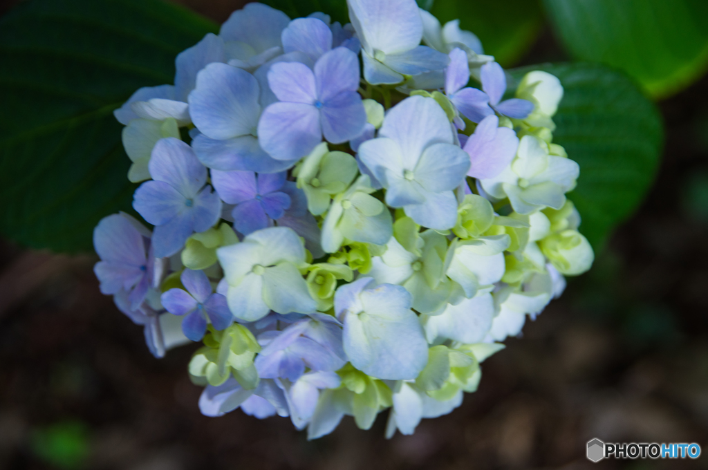 やっちゃったニッサン！！