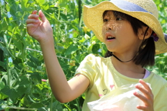 木漏れ日の少女