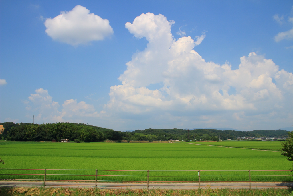 入道雲